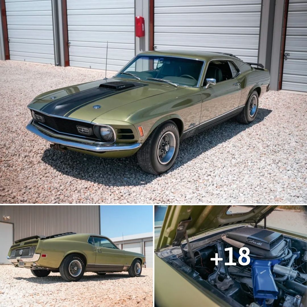 Rediscovering a Legend: The 1970 Ford Mustang Mach 1 428 Super Cobra ...
