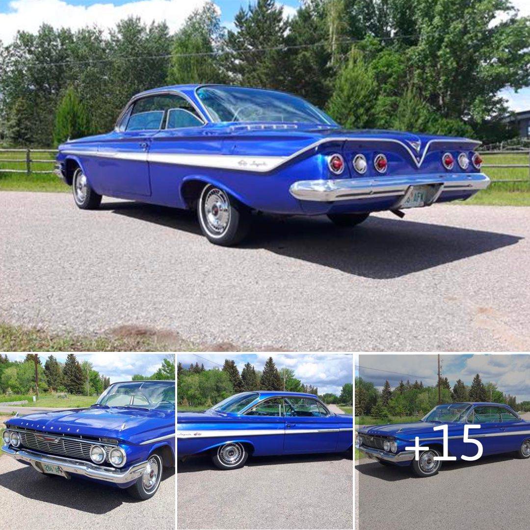 1961 Chevrolet Impala: Where Vintage Beauty Meets Unmatched Performance